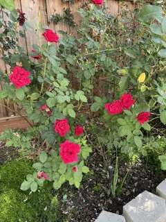 $2,280,000 | 6270 Tweedholm Court, San Jose, CA 95120