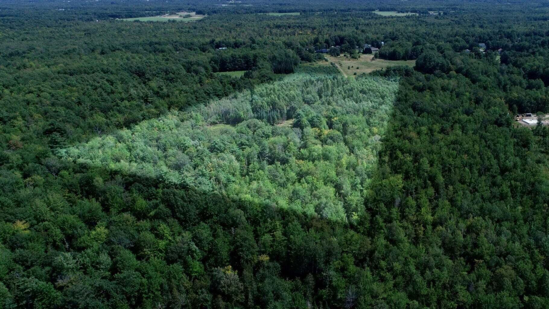 0 Back Road Sidney, ME 04330 - Photo 7 of 11 20230908150042338376000000-o