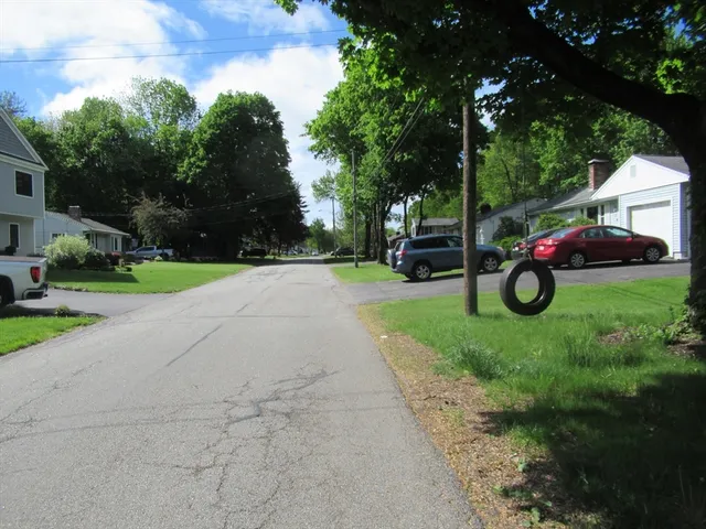 a view of park with large trees