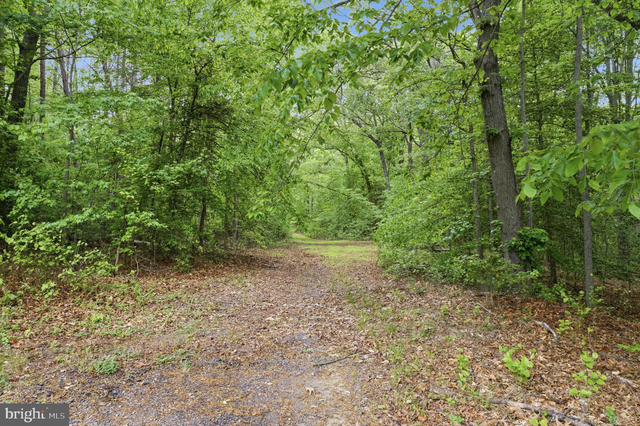 6040 Southgate Farm Road Indian Head, MD 20640 - Photo 87 of 94 Serene path through lush greenery.