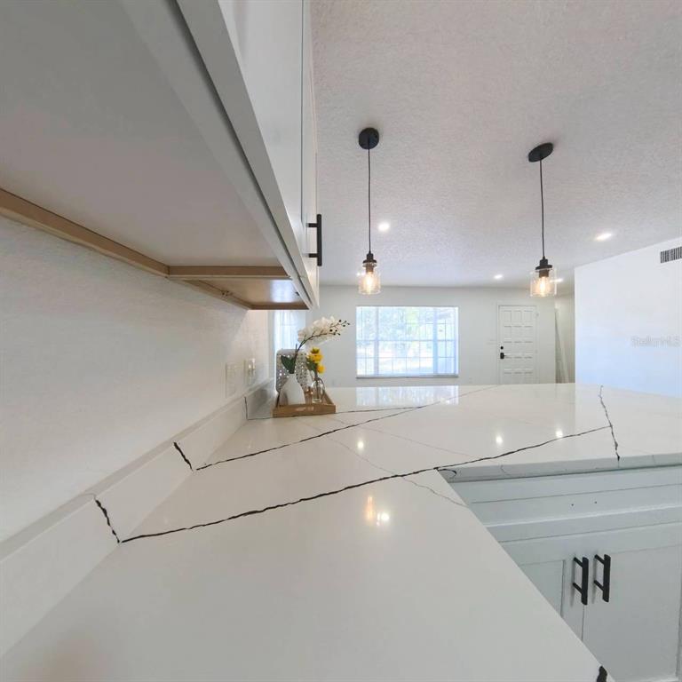 905 Spring Creek Drive Ocoee, FL 34761 - Photo 14 of 43