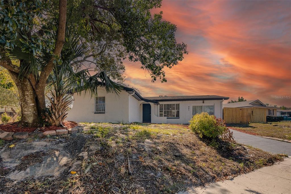 905 Spring Creek Drive Ocoee, FL 34761 - Photo 2 of 35 a house with a tree in front of it