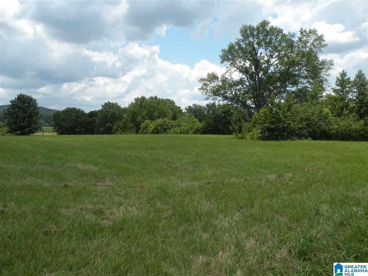 8215 Plant Road Alpine, AL 35014 - Photo 4 of 48 Gallery Image 4