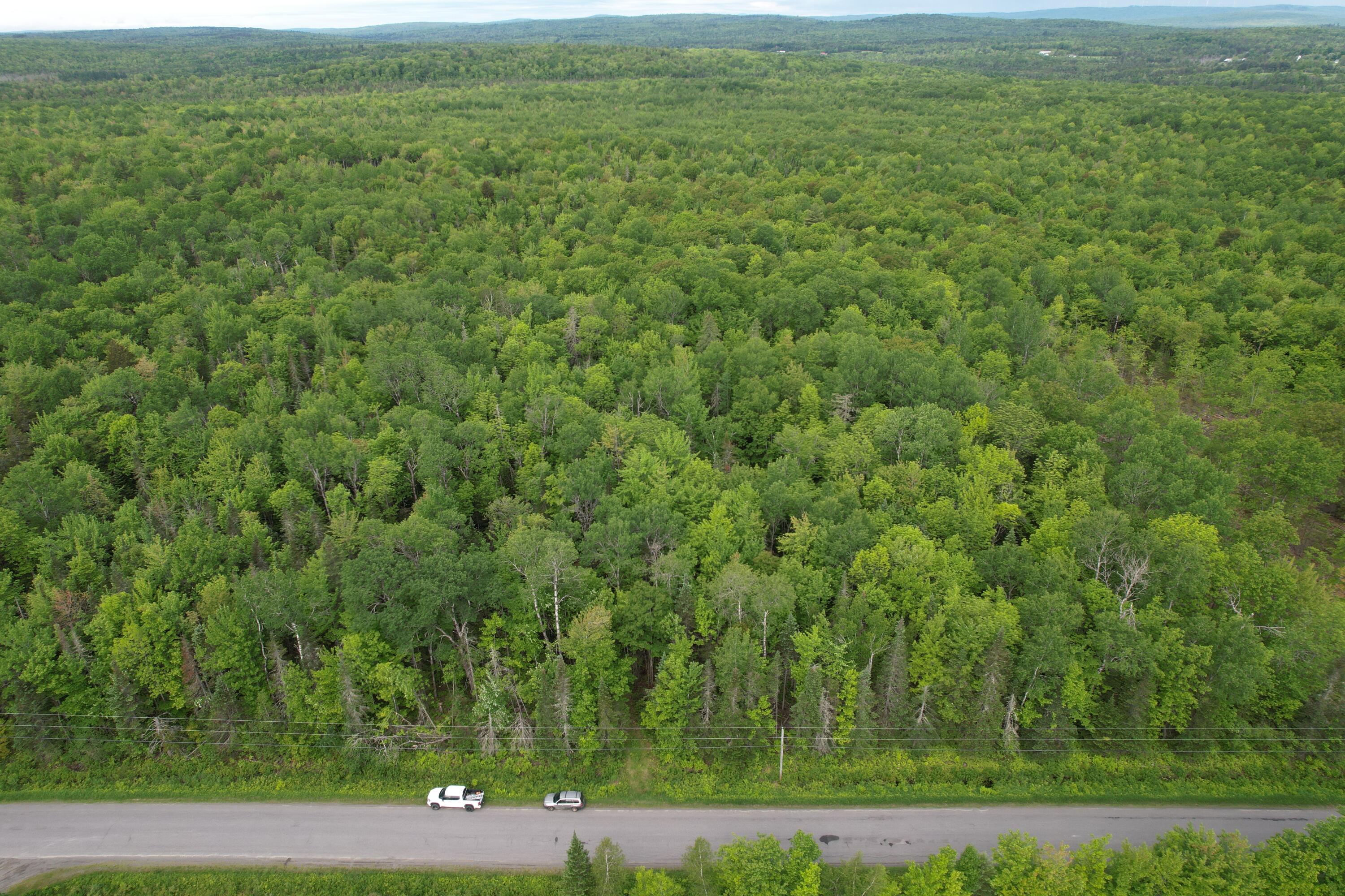 Lot 12-1 North Dexter Road Parkman, ME 04443 - Photo 6 of 10 327DB9D8-497F-4426-84CD-858DC06ABD7B