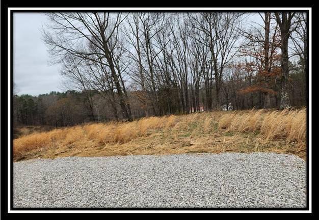 0 Metheny Fairplay Road, Unit TRACT 1) Vinton, OH 45686 - Photo 9 of 41 image008