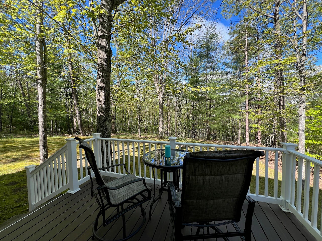 1766 Chippewa Beach Road Indian River, MI 49749 - Photo 2 of 29 Gallery Image 2