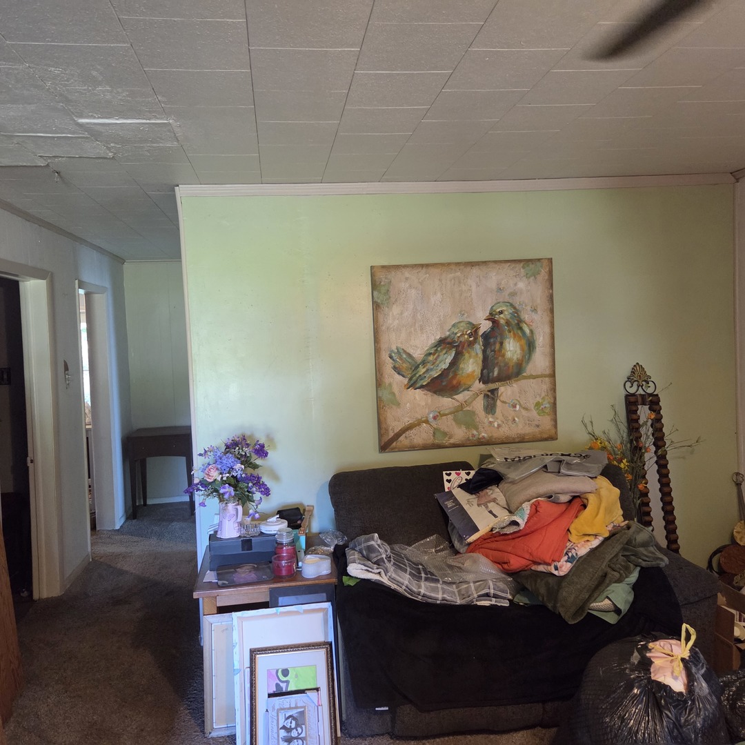 903 South Walnut Street Sesser, IL 62884 - Photo 12 of 16