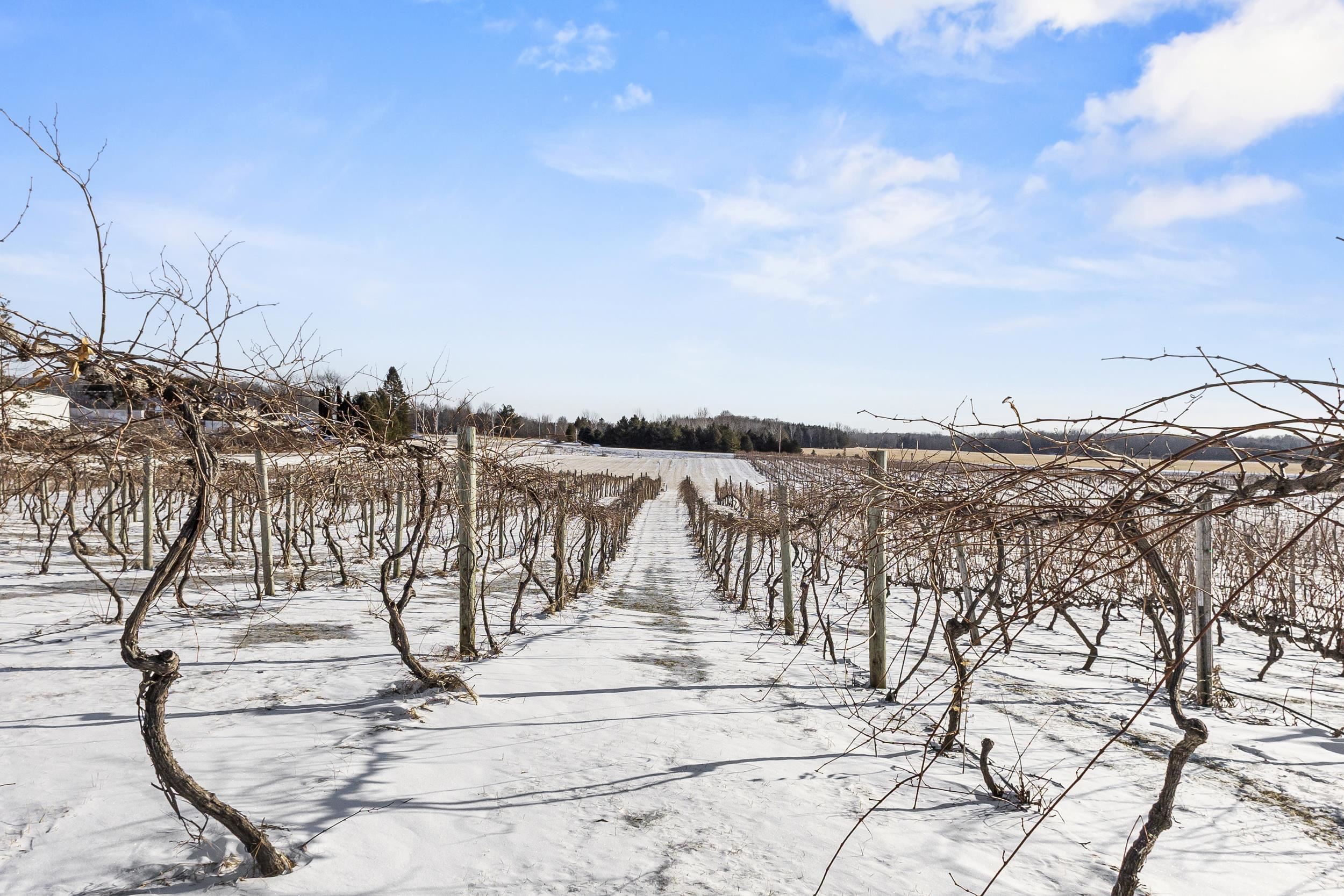 N2185 Sleepy Hollow Road Kewaunee, WI 54216 - Photo 42 of 44