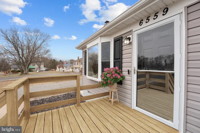 a view of a balcony with a potted plant