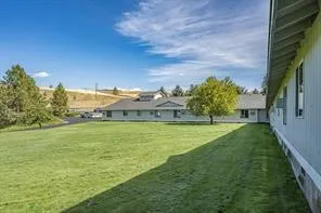 a view of a house with a big yard and a large tree