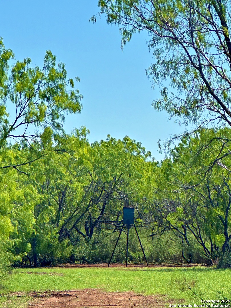 3265 Highway 97 Jourdanton, TX 78026 - Photo 15 of 24 a backyard of a house with lots of green space