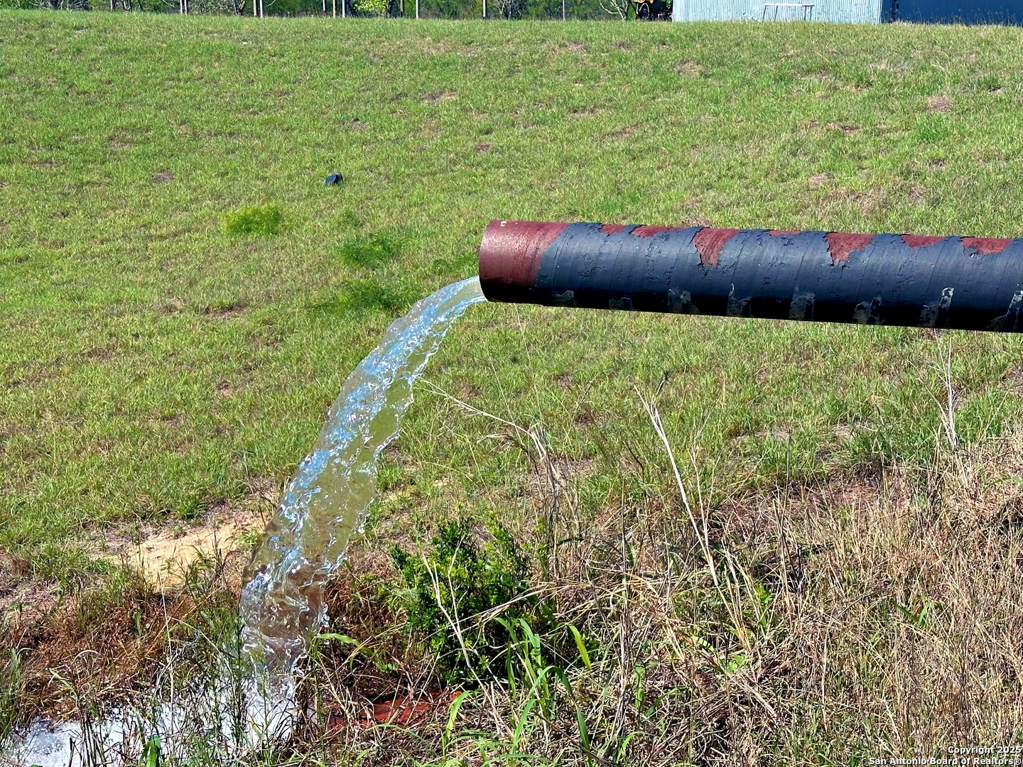 3265 Highway 97 Jourdanton, TX 78026 - Photo 5 of 24 a view of a garden