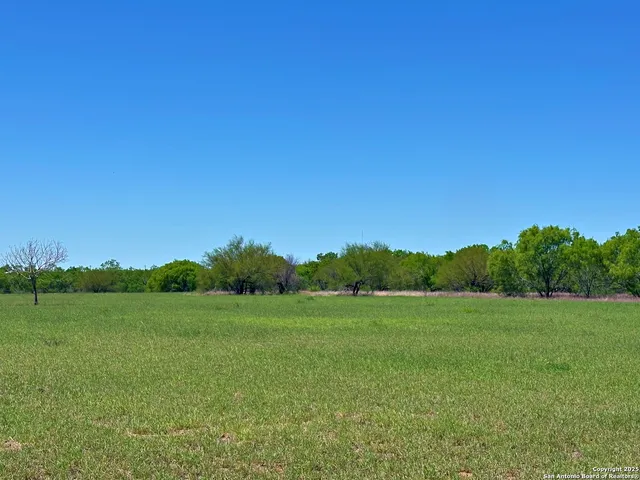 a view of a grassy field with trees