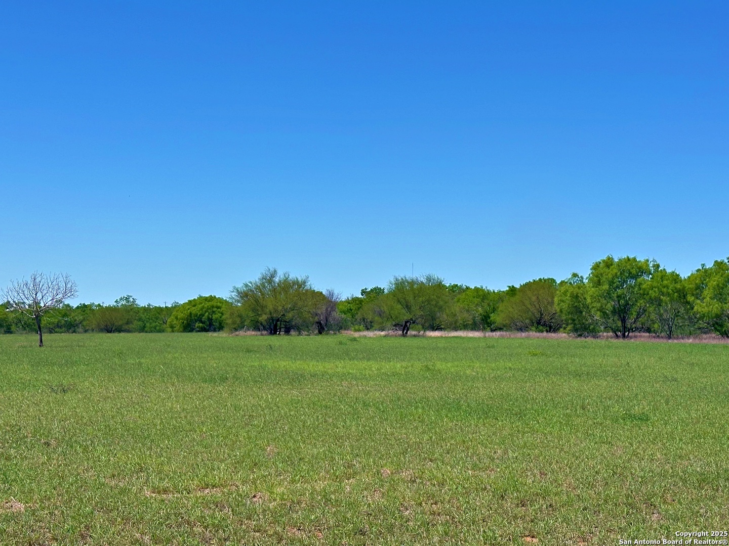 3265 Highway 97 Jourdanton, TX 78026 - Photo 7 of 24 a view of a grassy field with trees