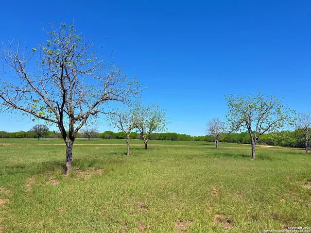 a view of an outdoor space and a yard