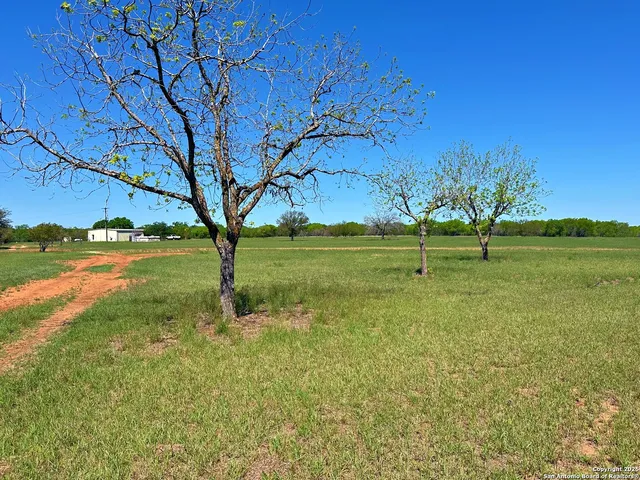 a view of a park with large trees