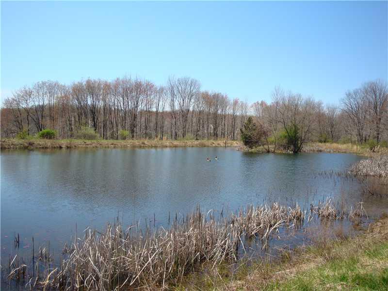 217 Pflugh Road Butler, PA 16001 - Photo 24 of 25 Waterfront/Dock/Pier.