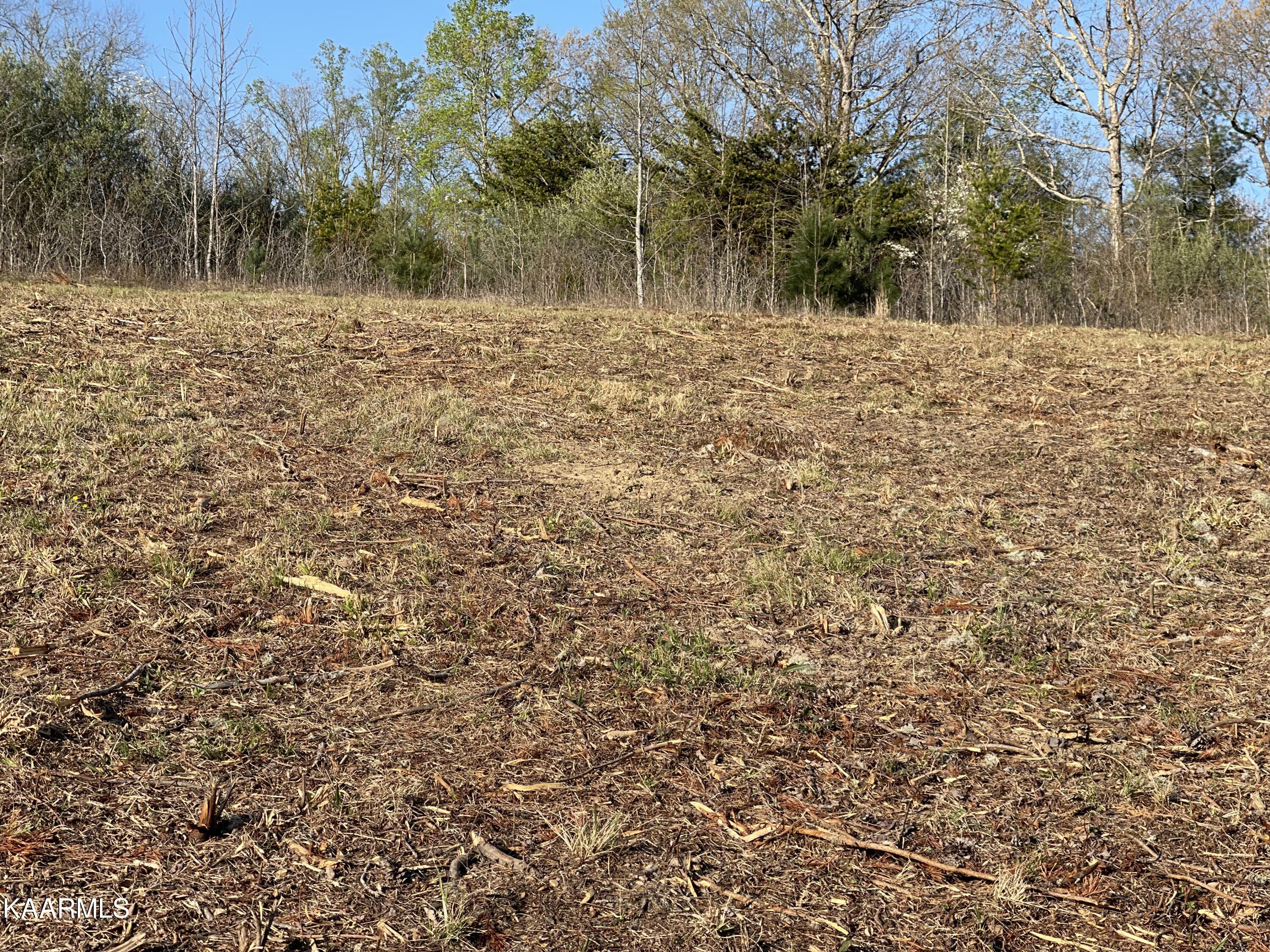 Lee Road Lancing, TN 37770 - Photo 6 of 7 Cleared building spot