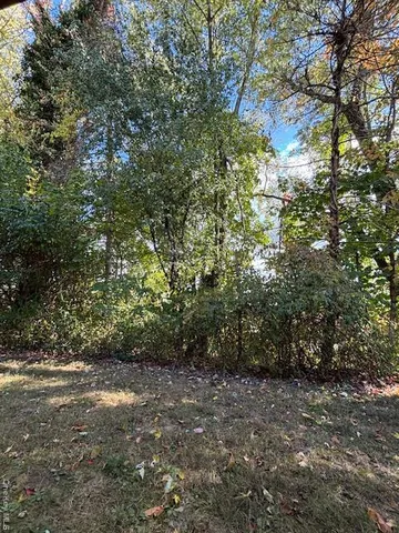 a view of outdoor space and trees