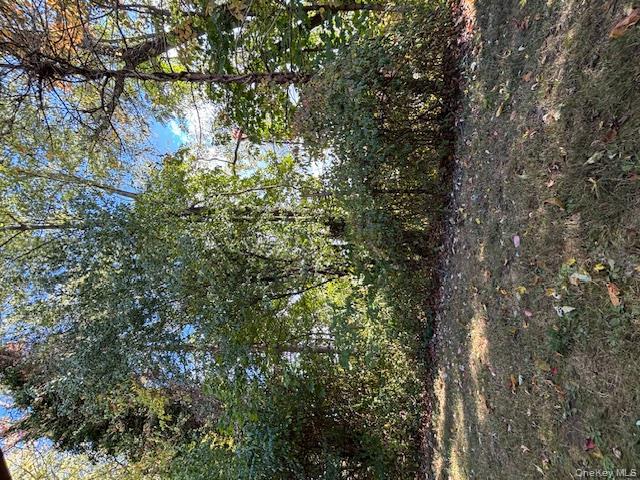31 C Alpine Drive Wappingers Falls, NY 12590 - Photo 16 of 19 a view of outdoor space and trees