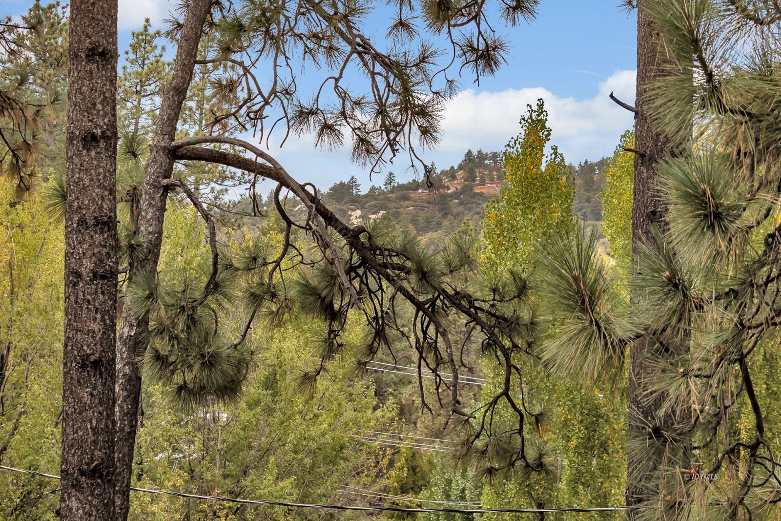 53340 Tollgate Road Idyllwild, CA 92549 - Photo 52 of 61 Untitled