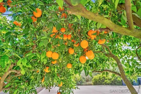 $1,899,000 | 14930 Eastvale Road, Poway, CA 92064