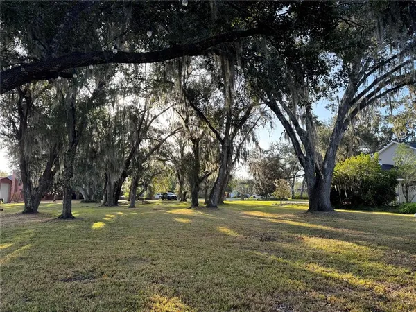 a view of yard with trees