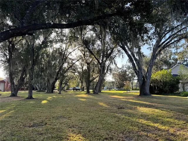 a view of yard with trees