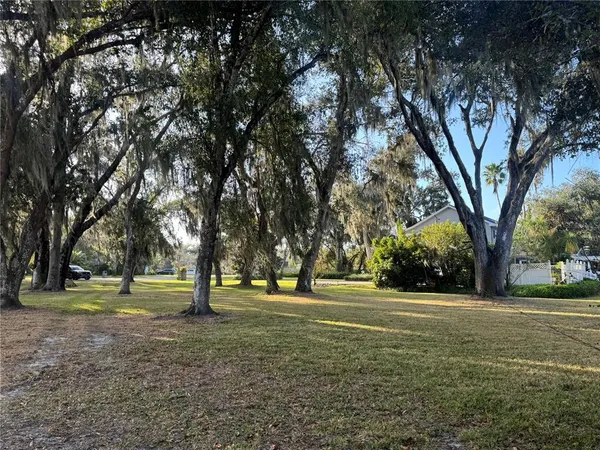 a view of park space