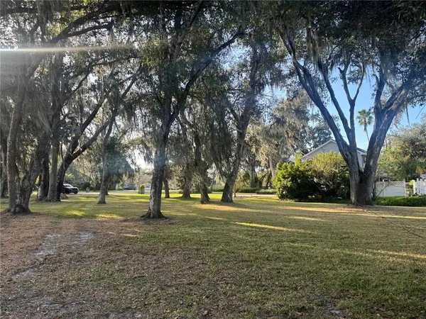 a view of a park with large trees