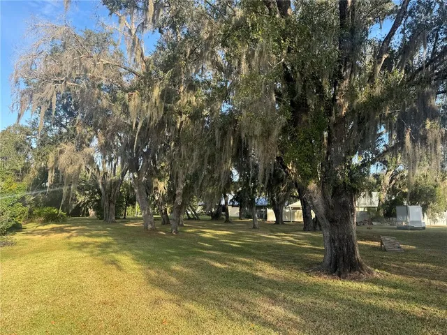 a view of outdoor space with trees