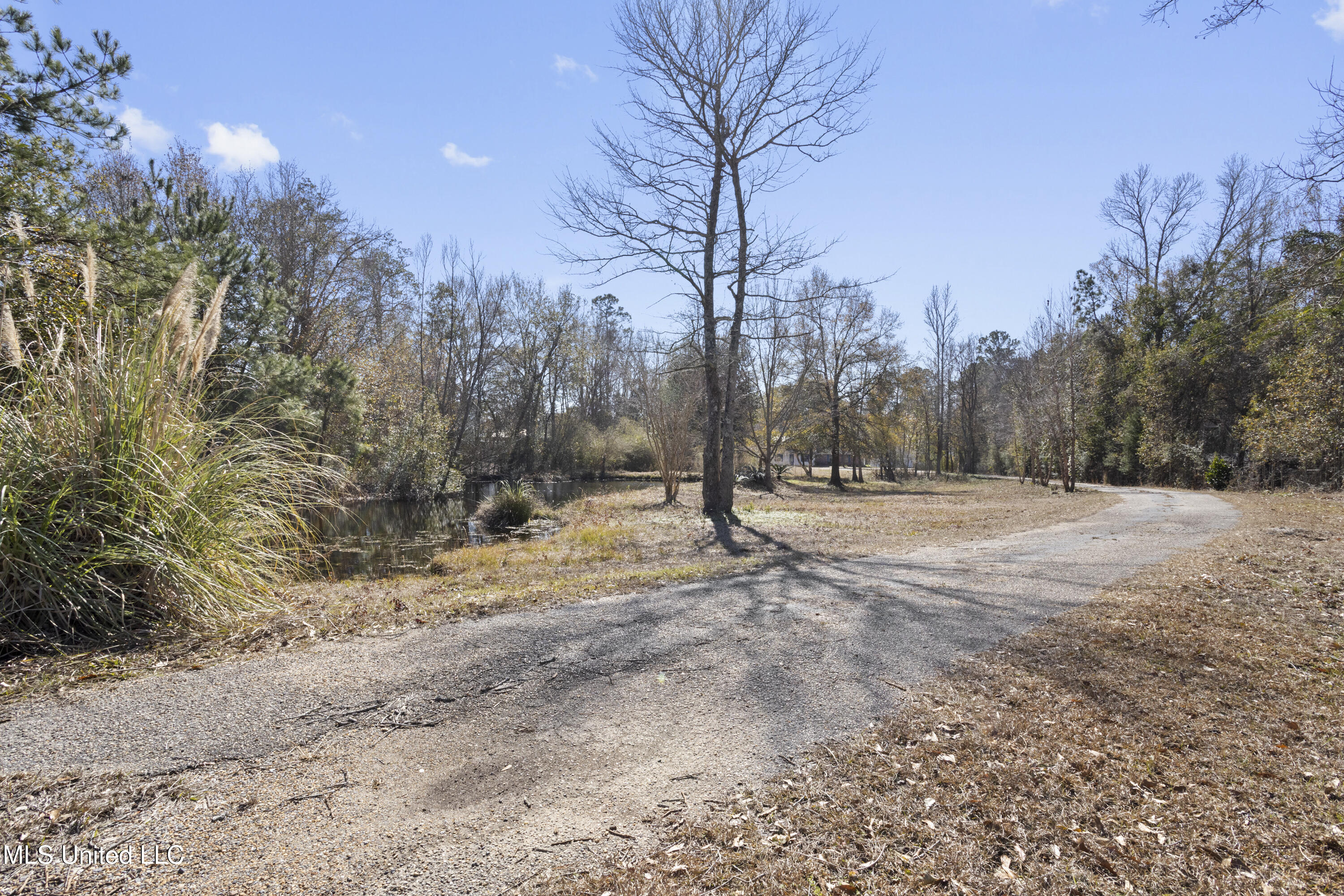25975 Highway 43 South Picayune, MS 39466 - Photo 53 of 68 Driveway