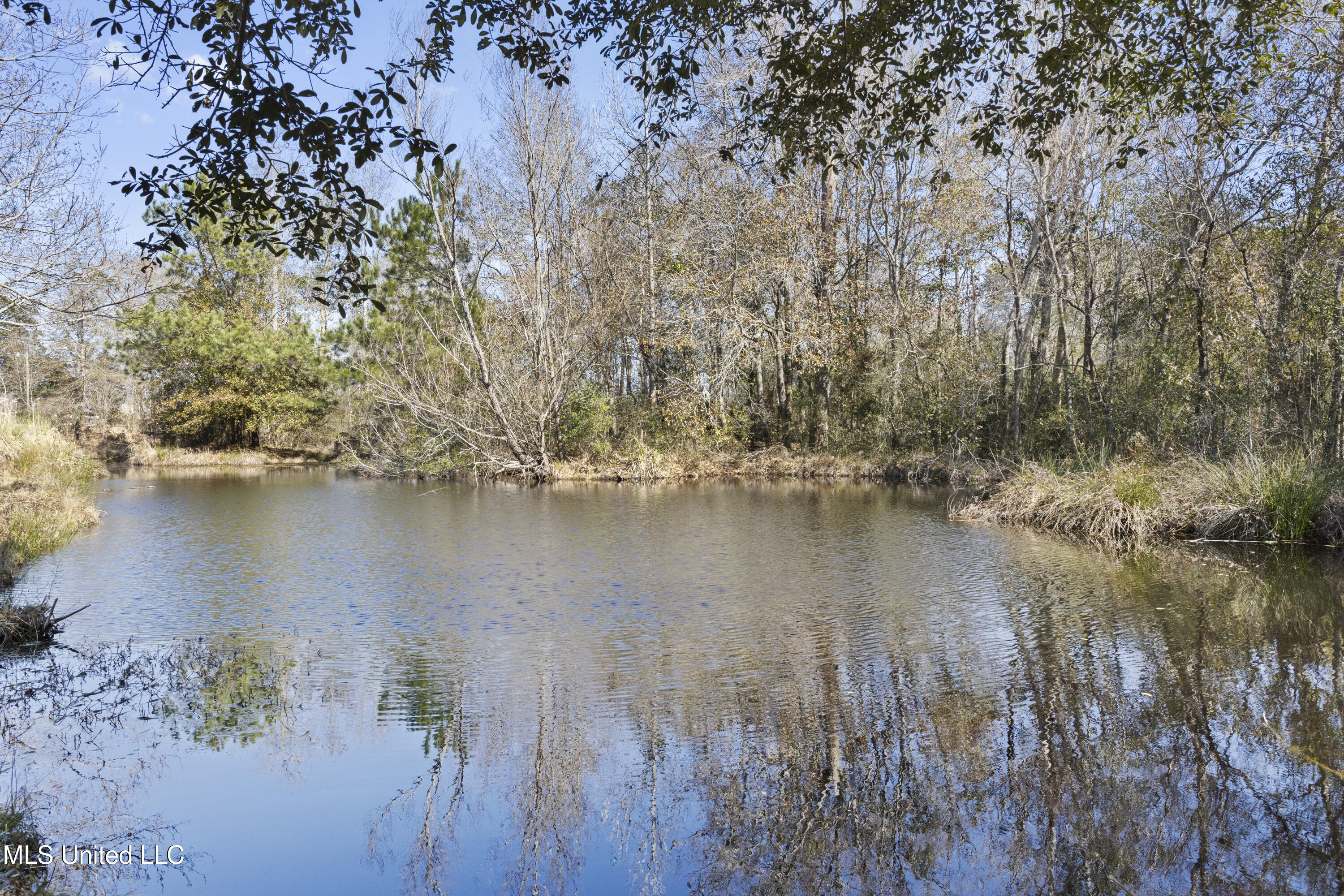 25975 Highway 43 South Picayune, MS 39466 - Photo 55 of 68 Pond