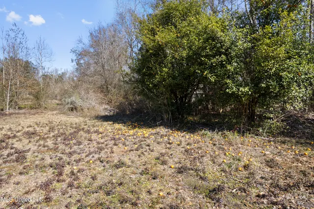 $349,000 | 25975 Highway 43 South, Picayune, MS 39466