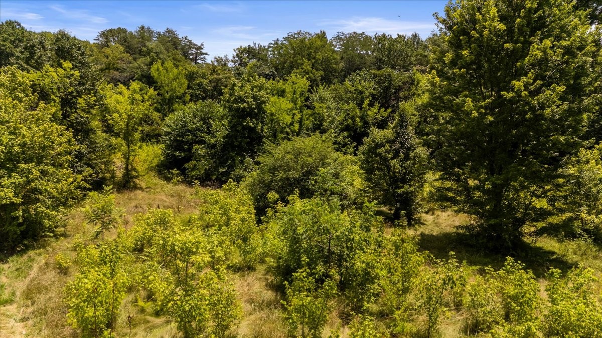 474 Clift Road Soddy-Daisy, TN 37379 - Photo 15 of 19