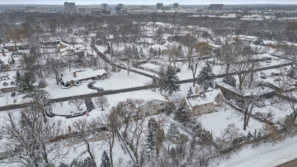 274 Timber View Drive Oak Brook, IL 60523 - Photo 56 of 68 a view of a city