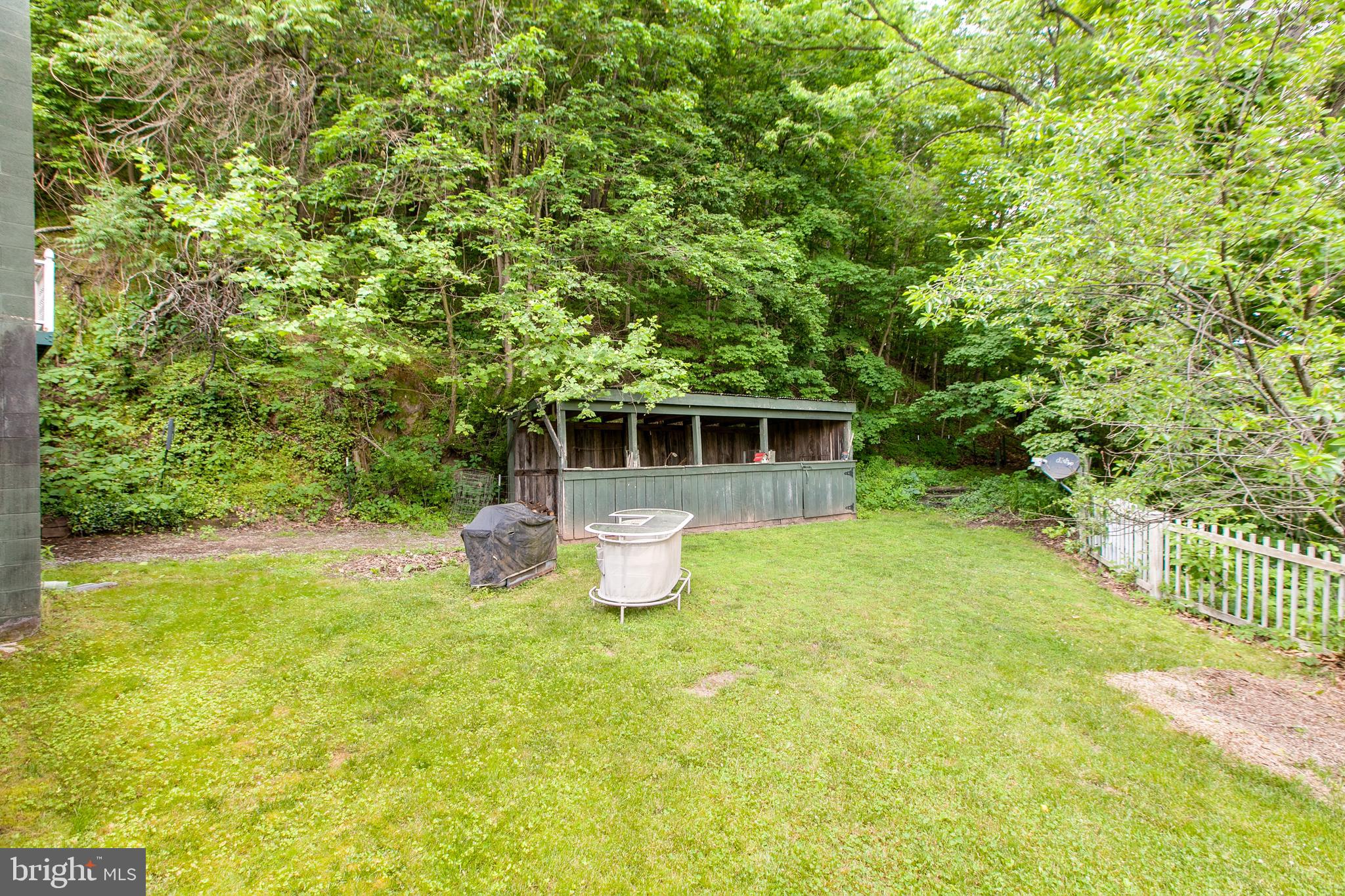 4292 River Road Berkeley Springs, WV 25411 - Photo 33 of 39 Back Yard