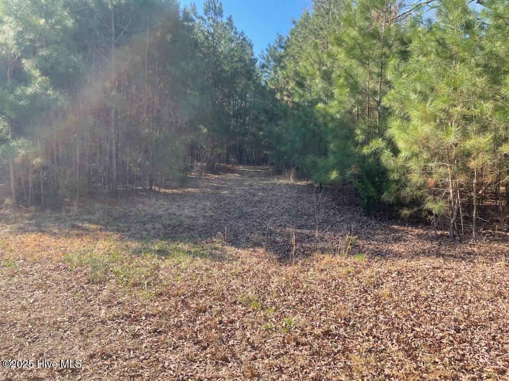 5635 McKendree Church Road Tarboro, NC 27886 - Photo 24 of 80 IMG954144 (2)