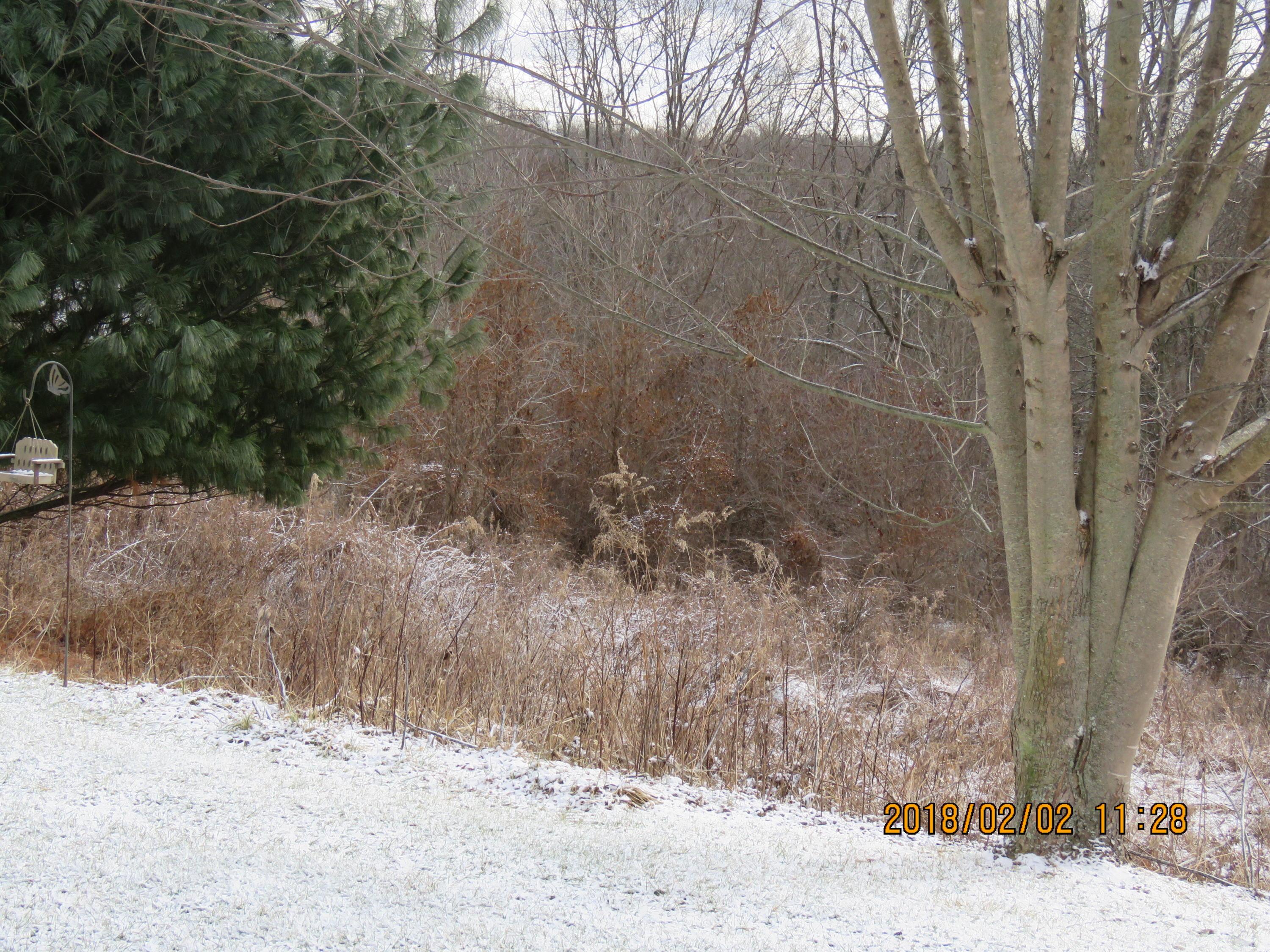 11264 Walnut Dowler Road Logan, OH 43138 - Photo 14 of 57