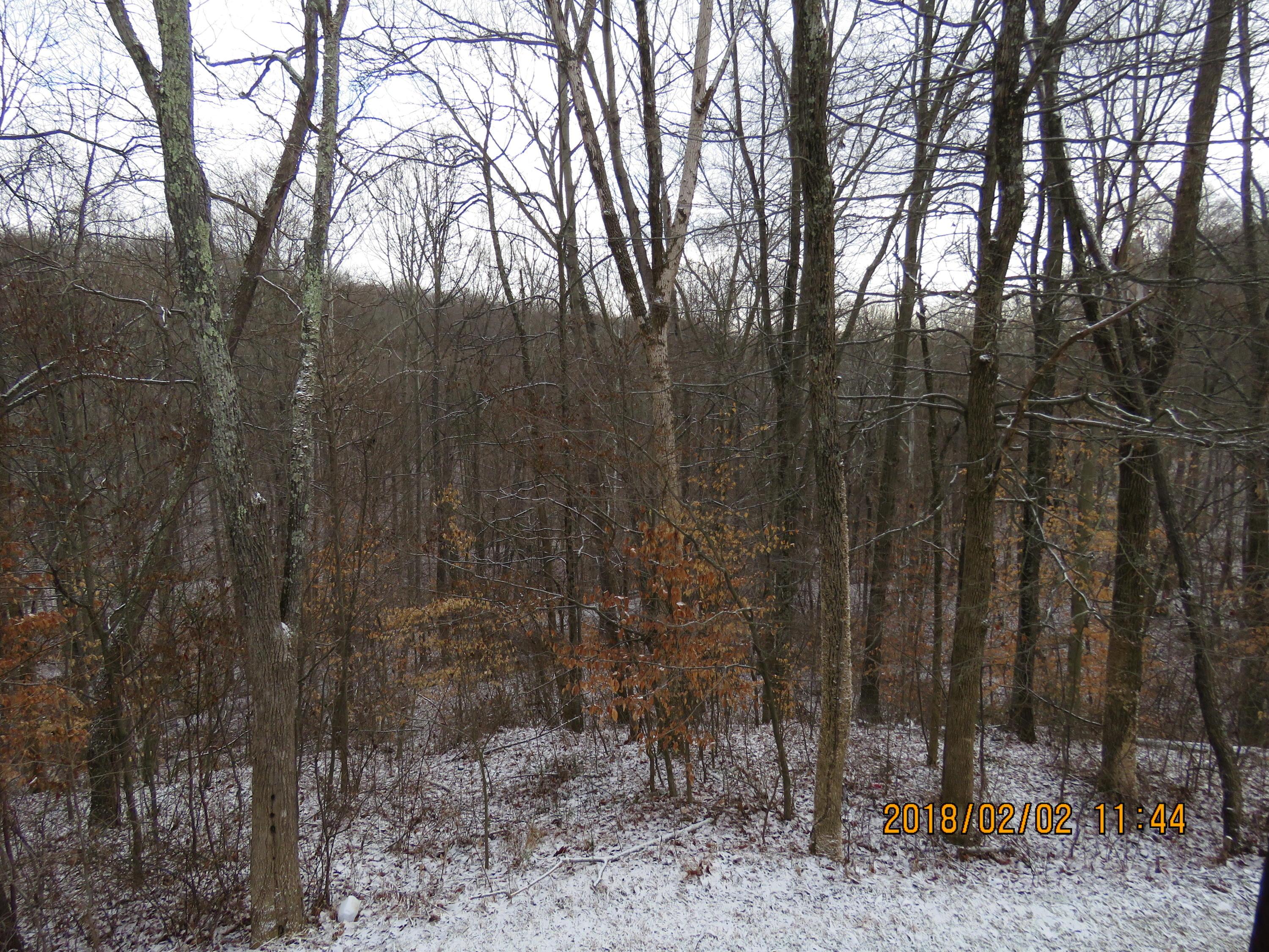 11264 Walnut Dowler Road Logan, OH 43138 - Photo 38 of 57