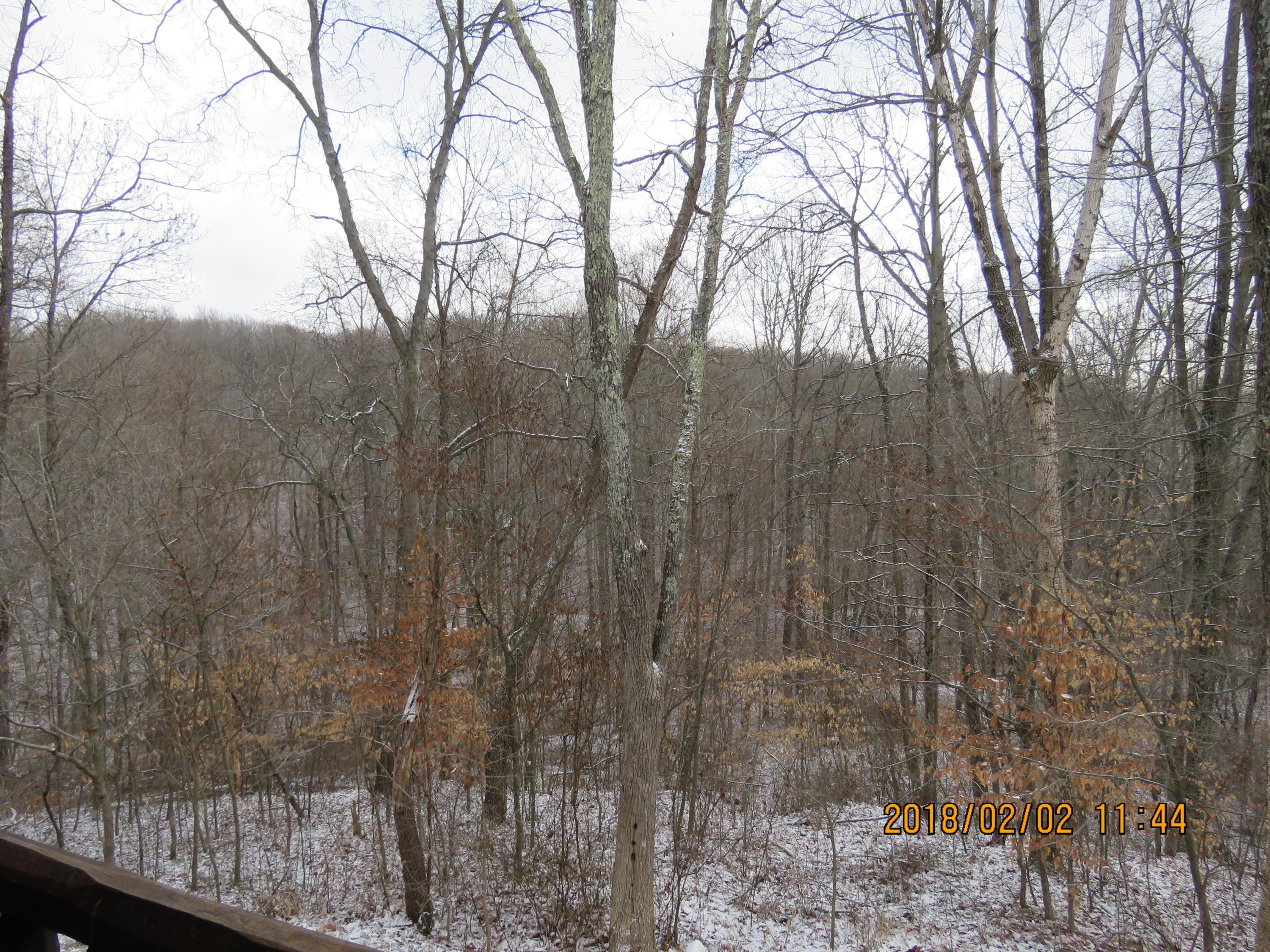 11264 Walnut Dowler Road Logan, OH 43138 - Photo 39 of 57