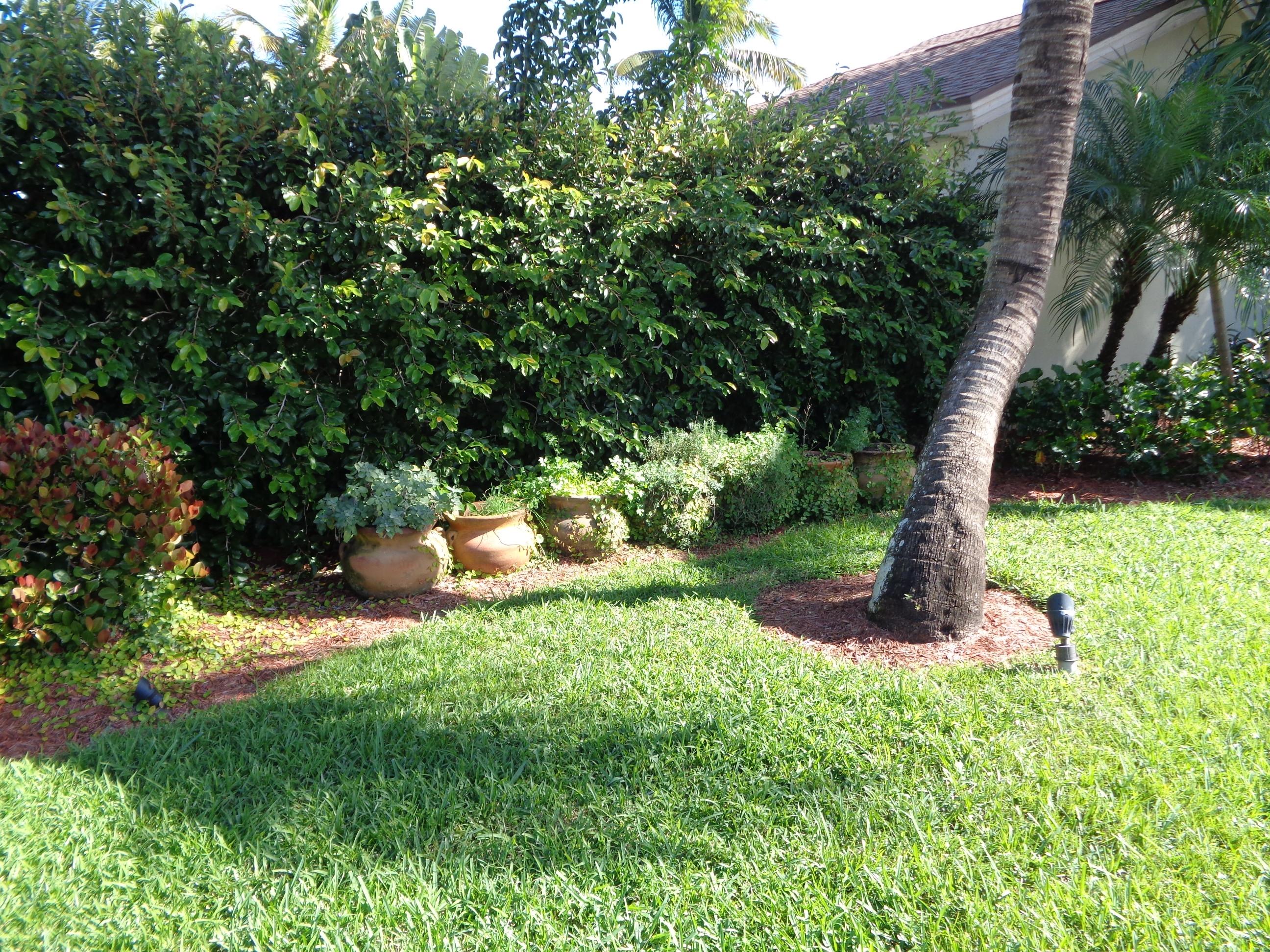 380 River Edge Road Jupiter, FL 33477 - Photo 23 of 38 Lush Landscaping