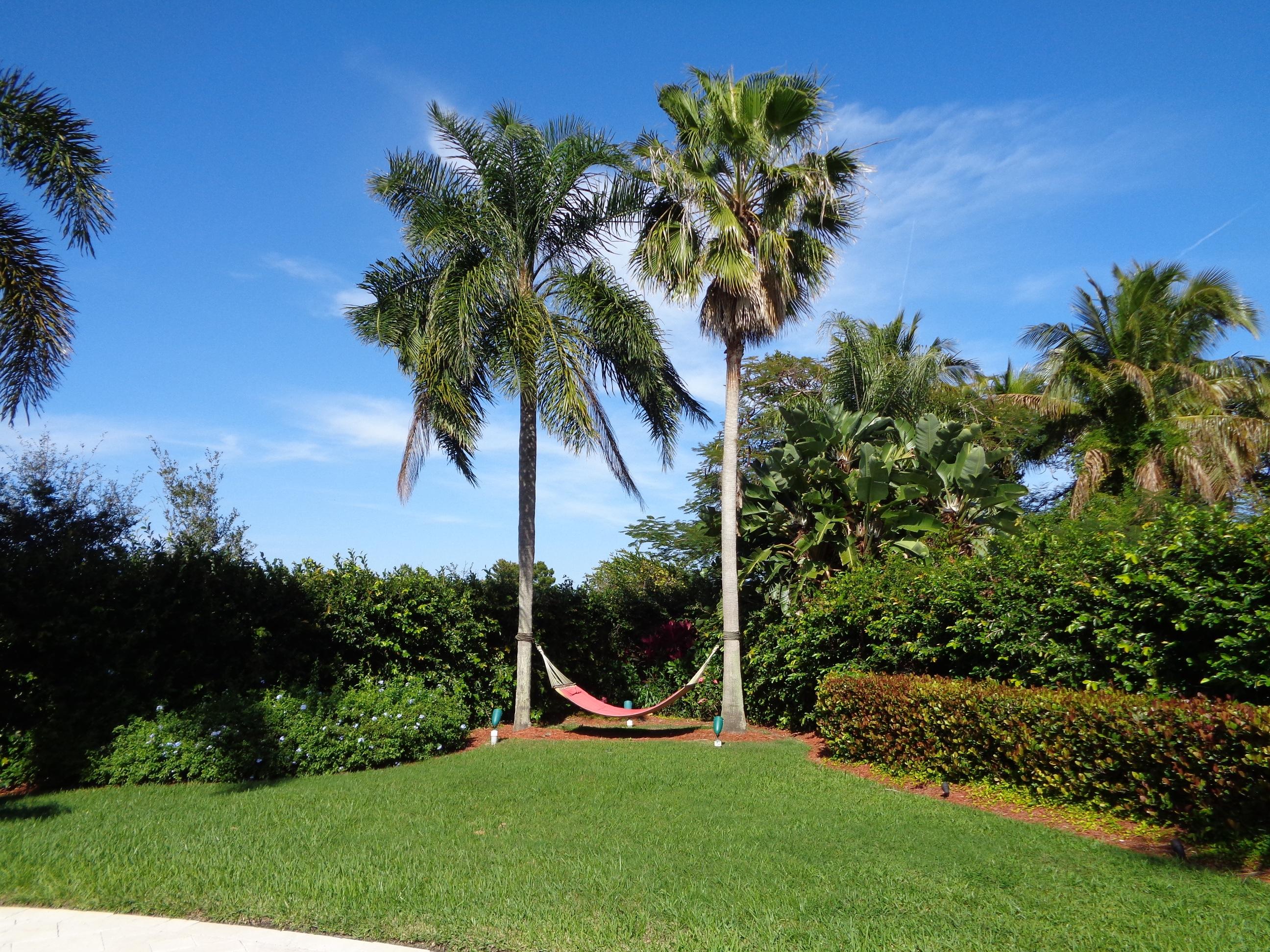 380 River Edge Road Jupiter, FL 33477 - Photo 9 of 38 Hammock in Yard
