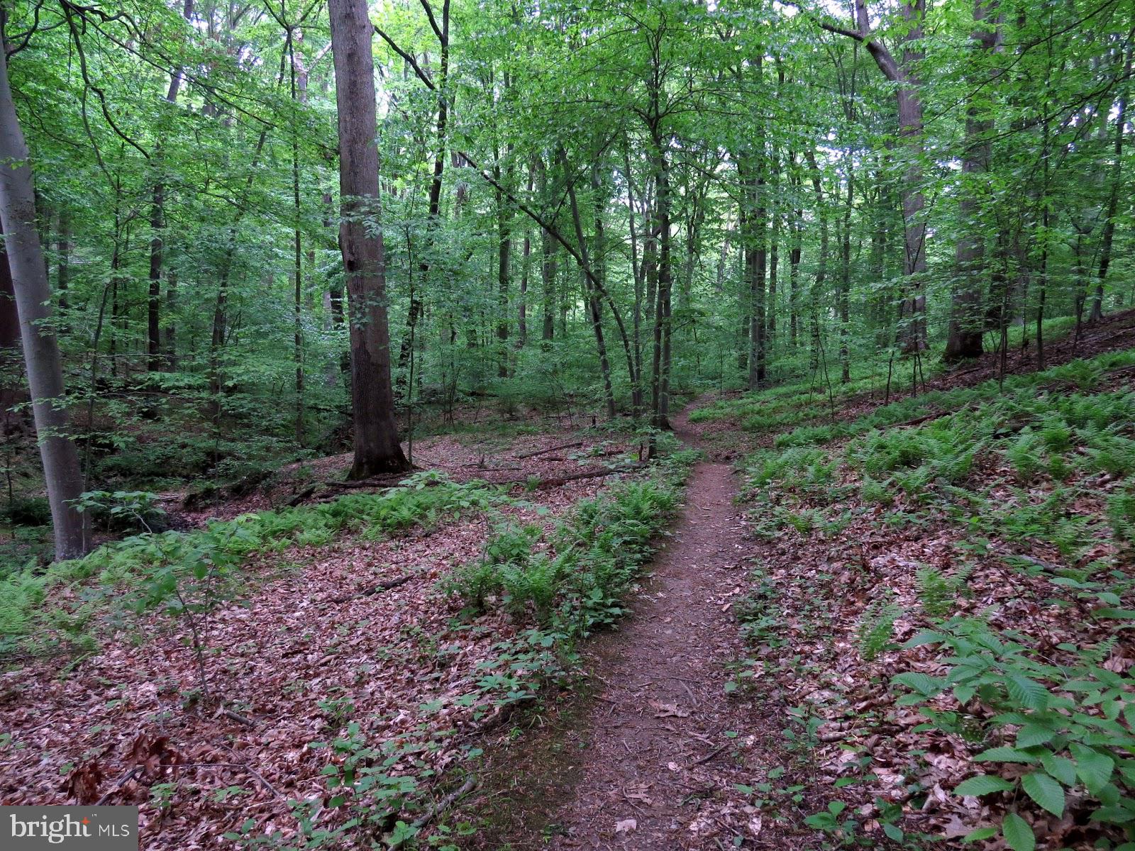 89 Ridge Run Road North East, MD 21901 - Photo 48 of 51 Enjoy the Hiking Trails at Elk Neck State Park