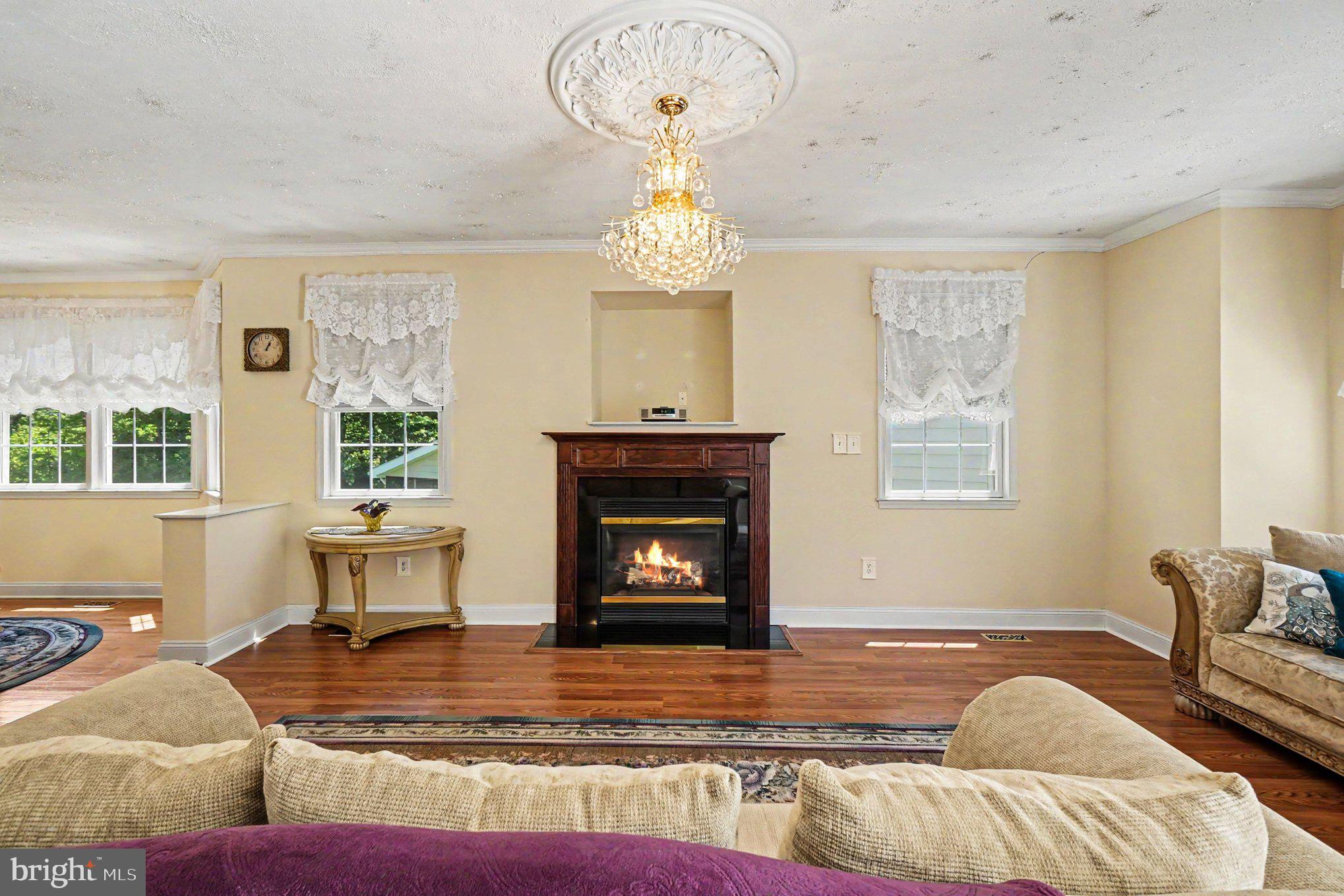 89 Ridge Run Road North East, MD 21901 - Photo 8 of 51 Cozy Propane Burning Fireplace in Living Room