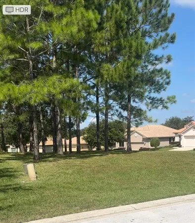 a view of park with tree s