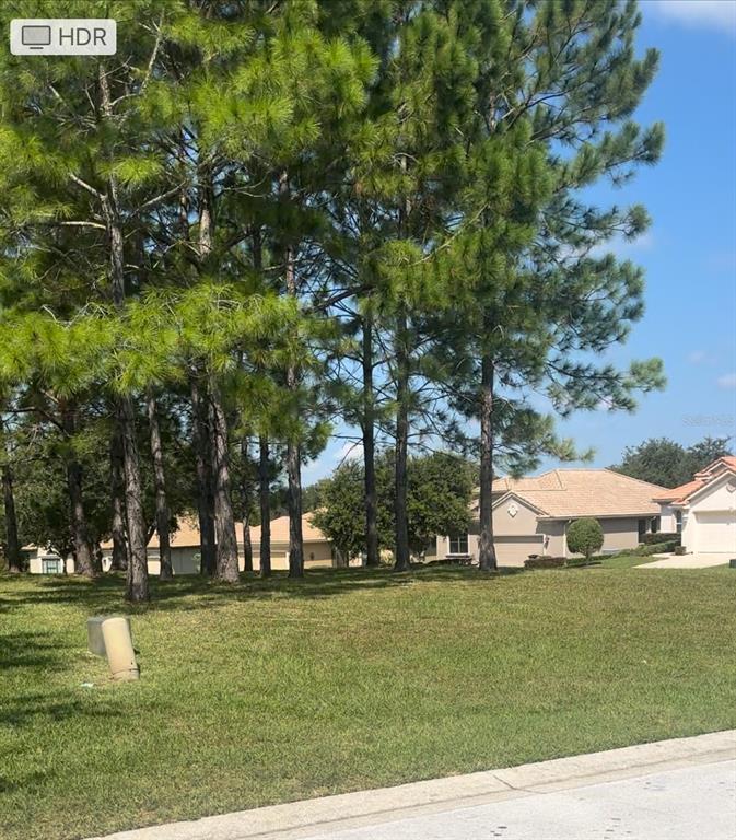 994 West Silver Meadow Loop Hernando, FL 34442 - Photo 2 of 11 a view of park with tree s