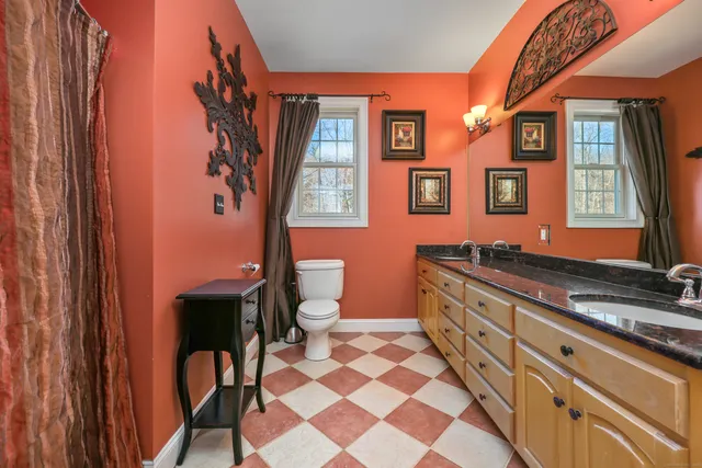 a bathroom with a sink a mirror and a toilet
