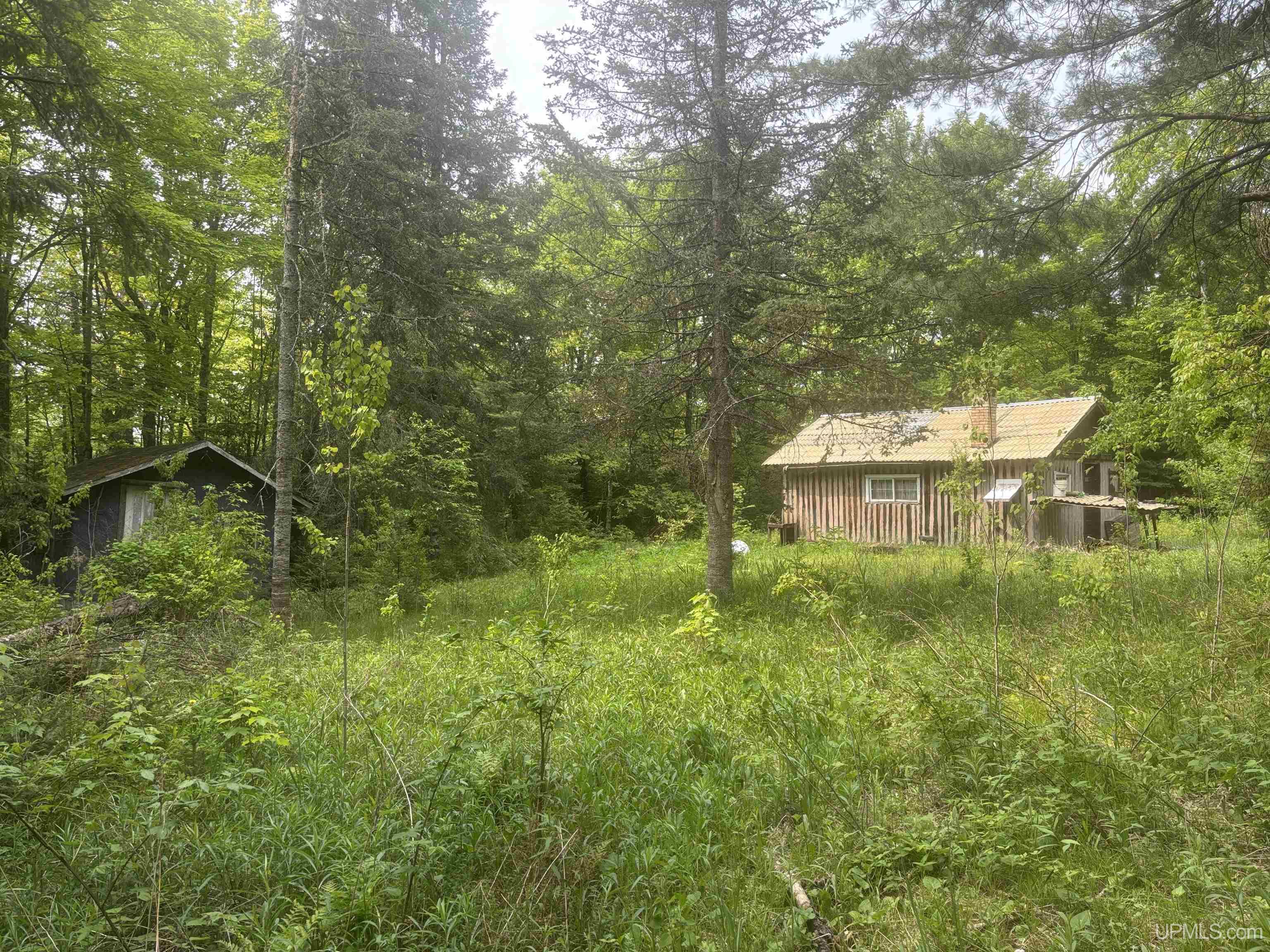 Tbd Tbd Uncle Nanny Road Wakefield, MI 49968 - Photo 12 of 21