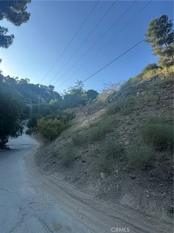 a view of a dry yard